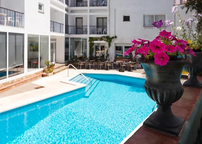 Perros hoteles Sant March